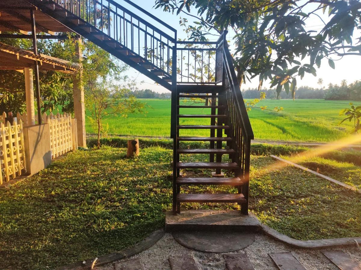 Village Mango Resort Yala Tissamaharama Kültér fotó