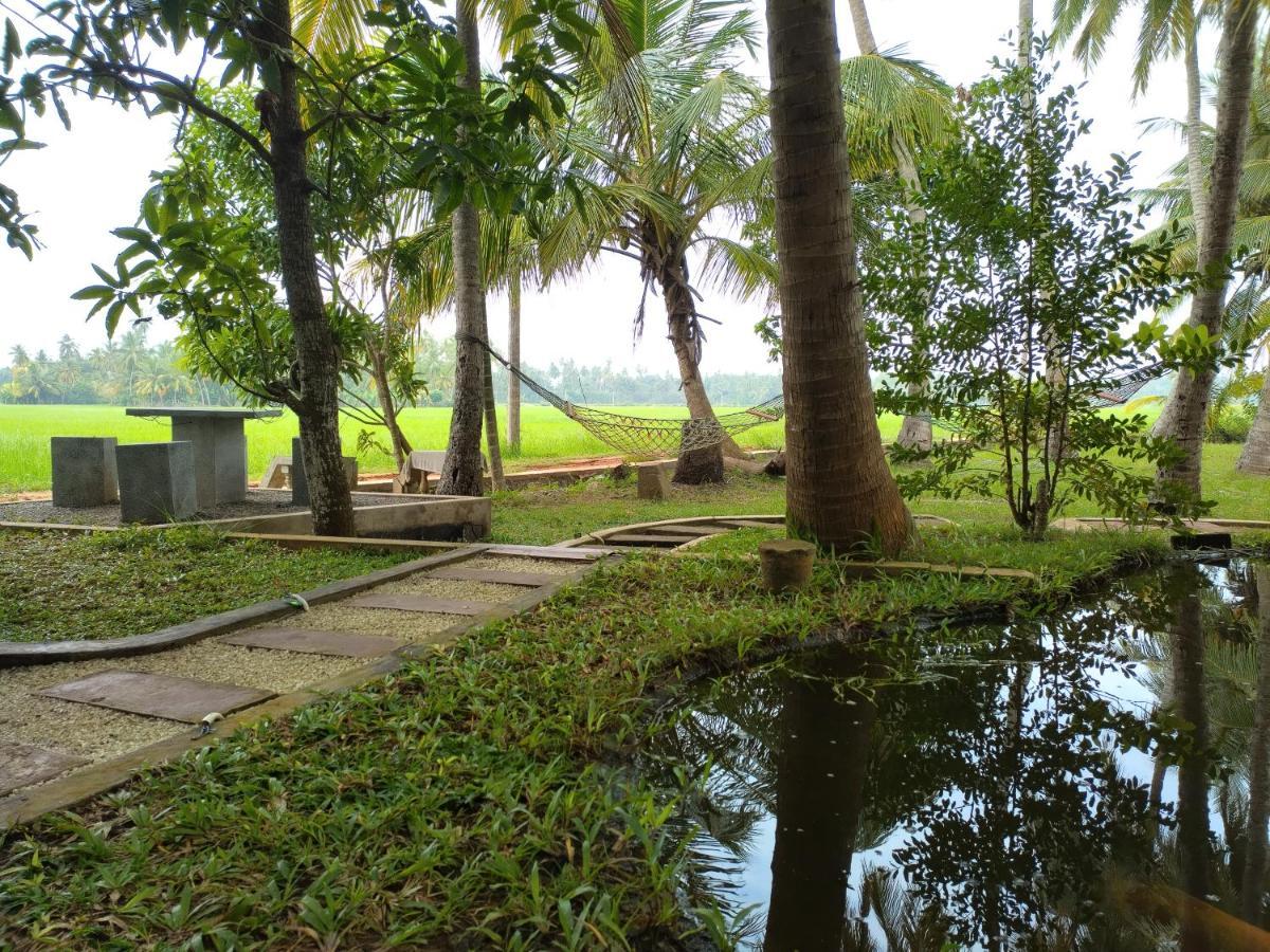 Village Mango Resort Yala Tissamaharama Kültér fotó