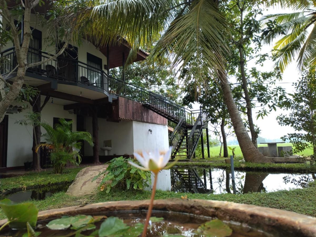 Village Mango Resort Yala Tissamaharama Kültér fotó