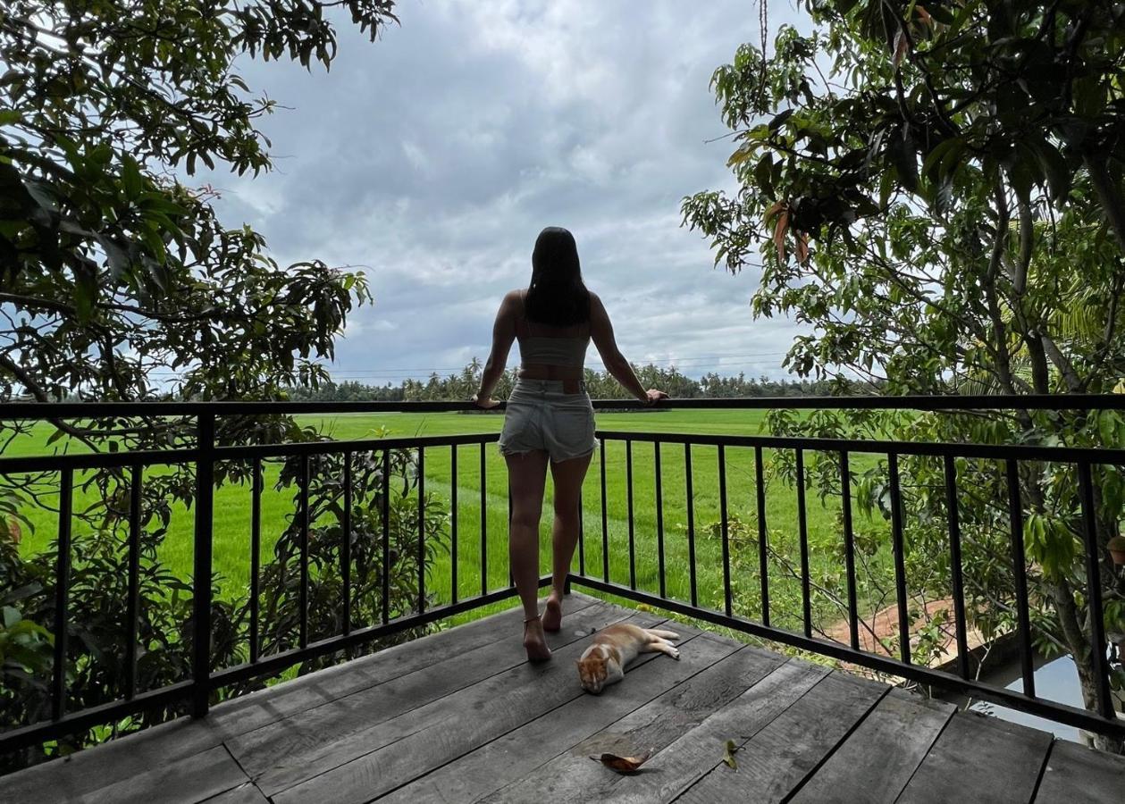 Village Mango Resort Yala Tissamaharama Kültér fotó